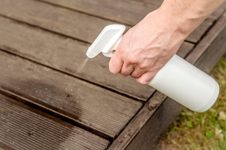 Spray naturale contro le formiche
